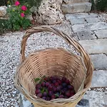 別荘 Trullo Margherita