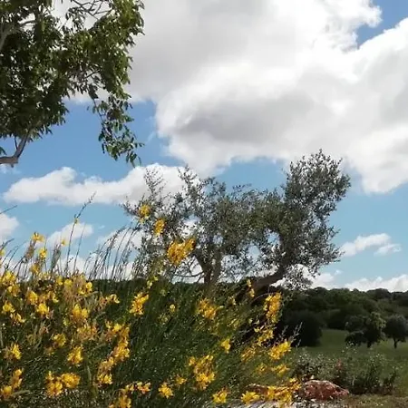 Feriehus Trullo Margherita