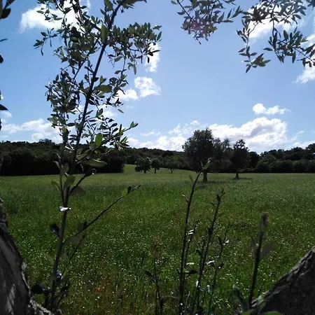 Feriehus Trullo Margherita Putignano