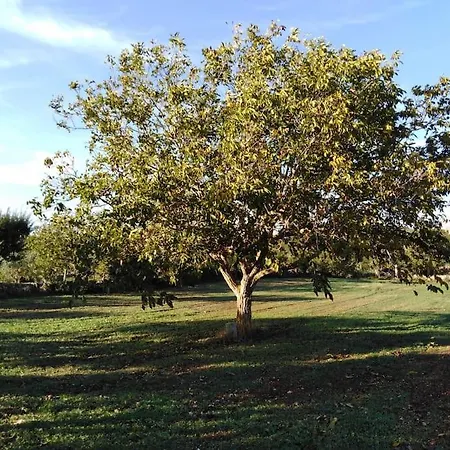 Feriehus Trullo Margherita *