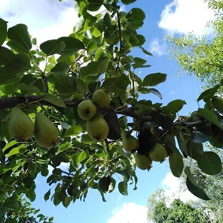 Trullo Margherita * Putignano