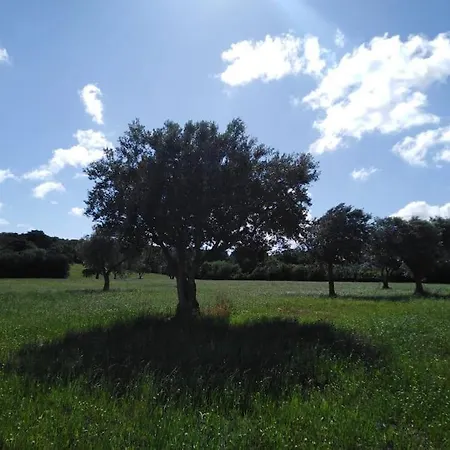 Trullo Margherita Feriehus Putignano