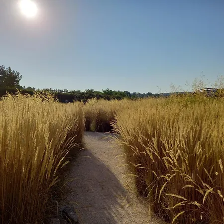 Trullo Margherita * Putignano