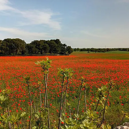 Feriehus Trullo Margherita Putignano