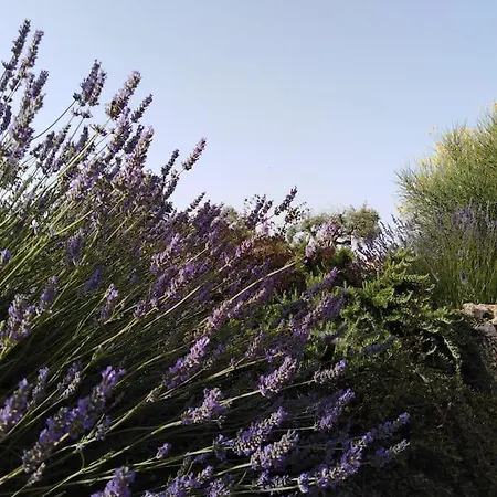 Trullo Margherita