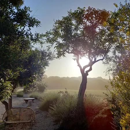Holiday home Trullo Margherita *