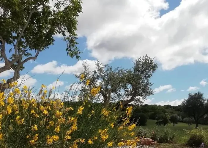 בית נופש Trullo Margherita