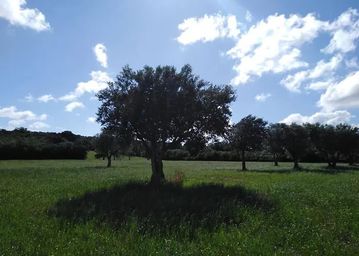 Trullo Margherita Сasa de vacaciones Putignano